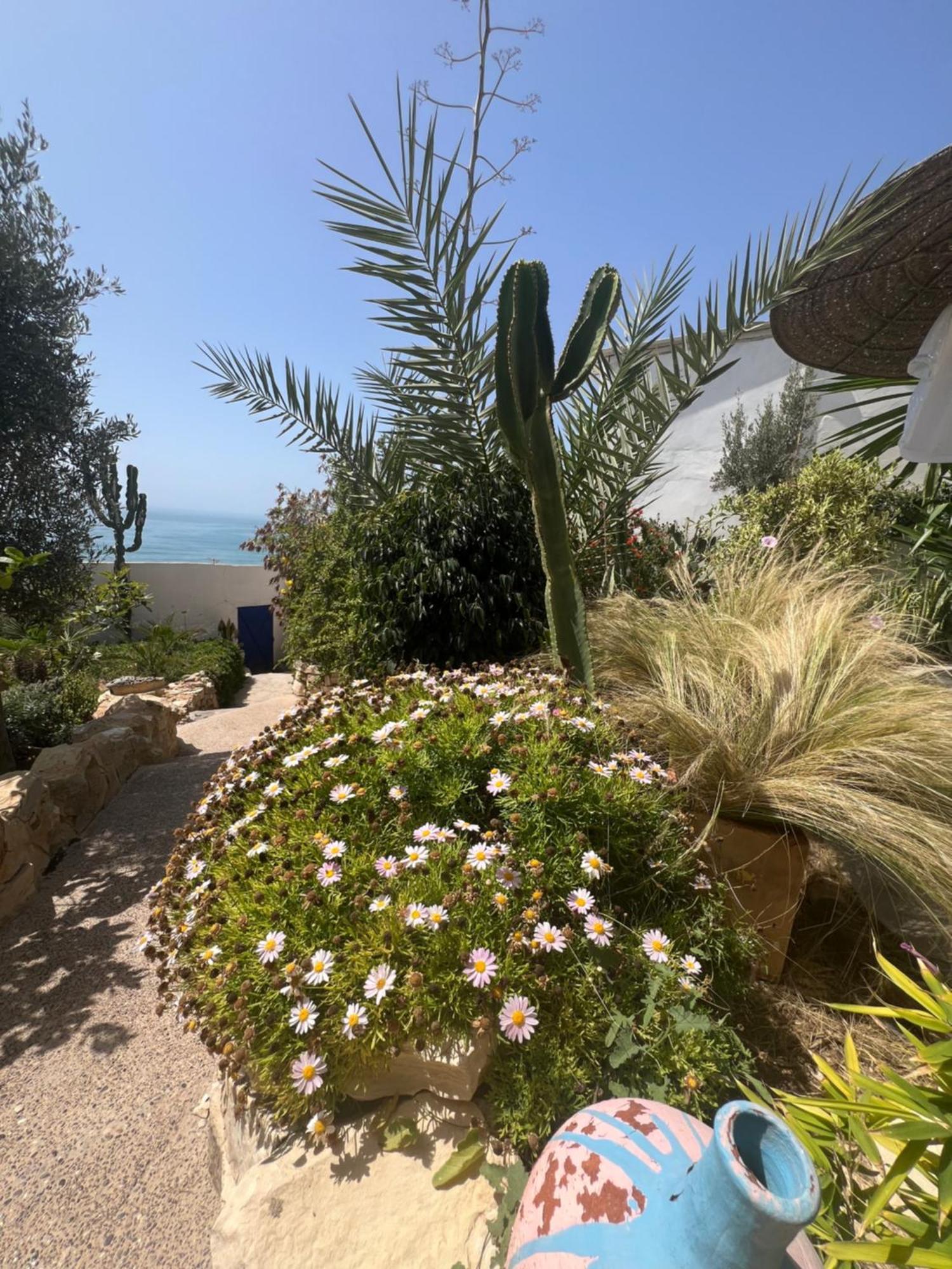 Villa Jardin De L'Ocean Aourir Exteriér fotografie